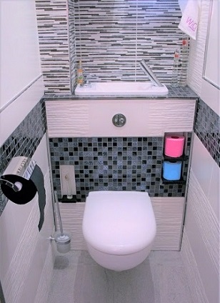 Toilettes du futur